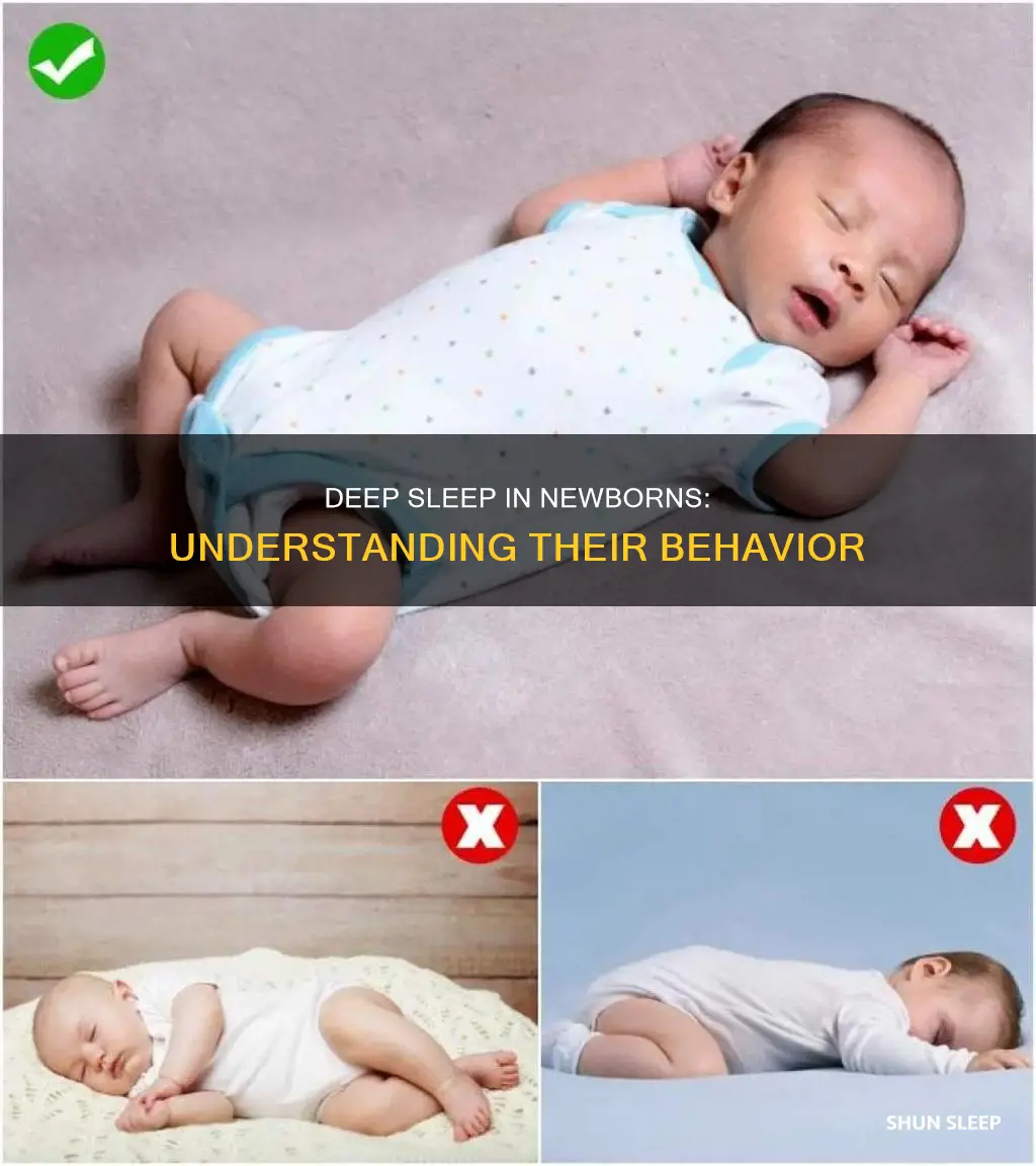 which behavior is observed in a newborn in deep sleep