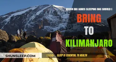 Big Agnes Sleeping Bag: Kilimanjaro Companion
