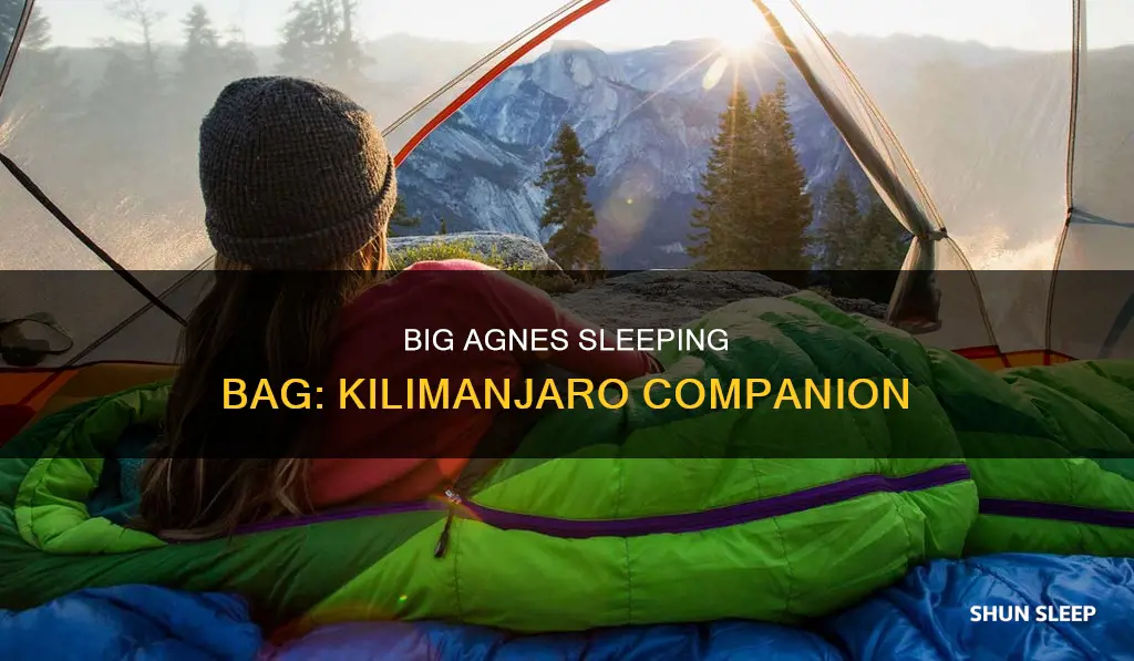 which big agnes sleeping bag should i bring to kilimanjaro
