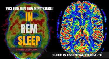 Brain Activity Changes During REM Sleep: A Mystery Unveiled