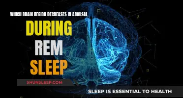 Brain Region's Decreased Arousal During REM Sleep