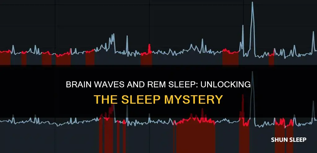 which brain waves enduces rem sleep