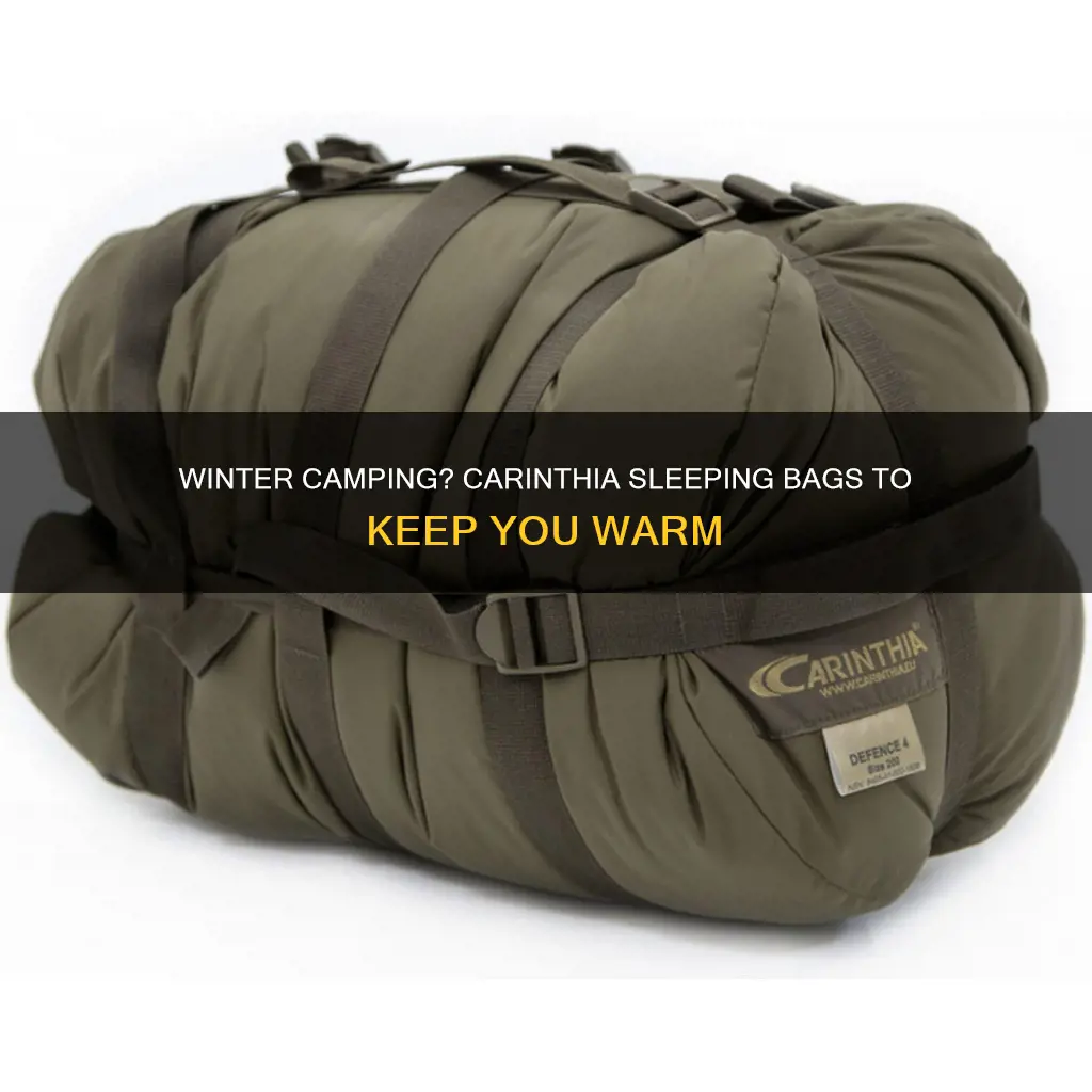 which carinthia sleeping bag for winter