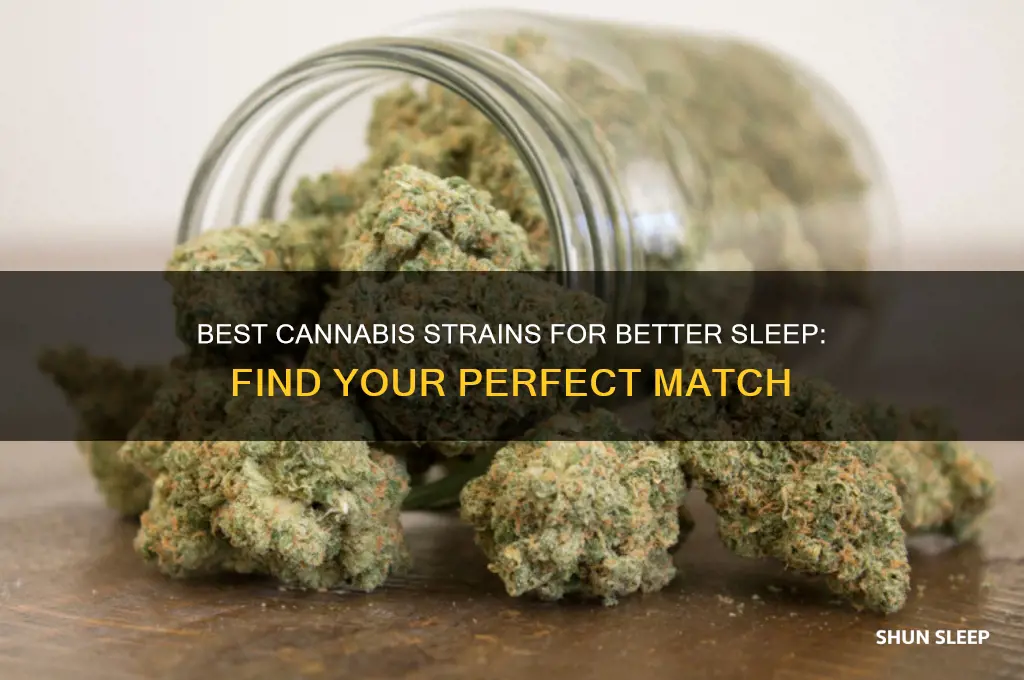 which cnnibus will help me sleep