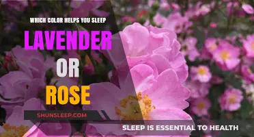 Lavender vs. Rose: Which Color Enhances Your Sleep Quality Best?
