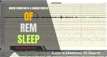 Understanding REM Sleep: Conditions and Characteristics