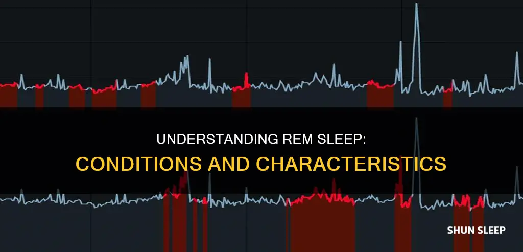 which condition is a characteristic of rem sleep