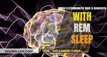 Brain Waves and Sleep: The REM Electromagnetic Link