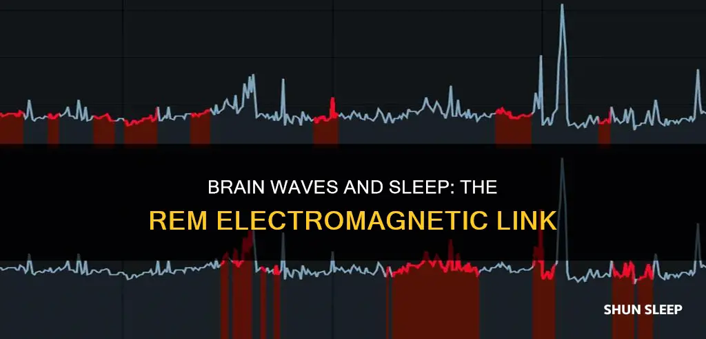 which electromagnetic wave is associated with rem sleep