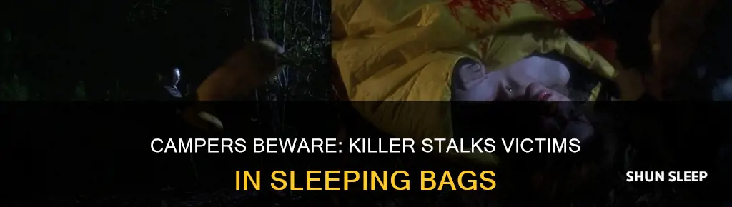 which friday the 13th kills in sleeping bag