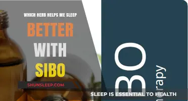 Herbal Remedies for Better Sleep with SIBO: Natural Solutions