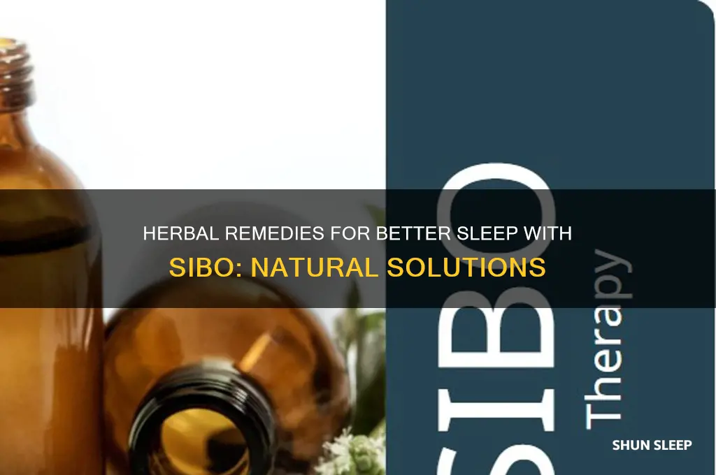which herb helps me sleep better with sibo