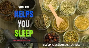 Discover the Best Herb to Enhance Your Sleep Quality Naturally