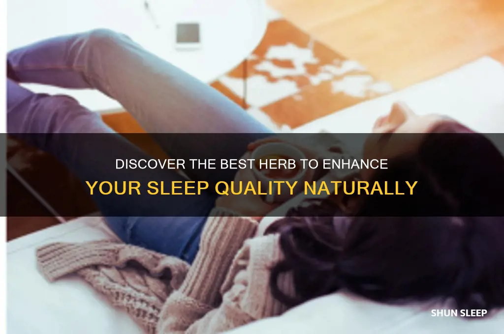 which herb helps you sleep