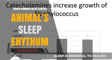 Hormonal Control of Sleep Rhythms in Animals: Key Insights
