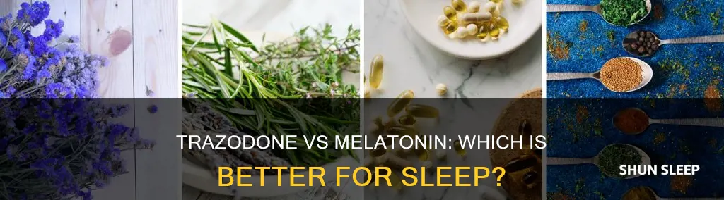 which is better for sleep trazodone or melatonin