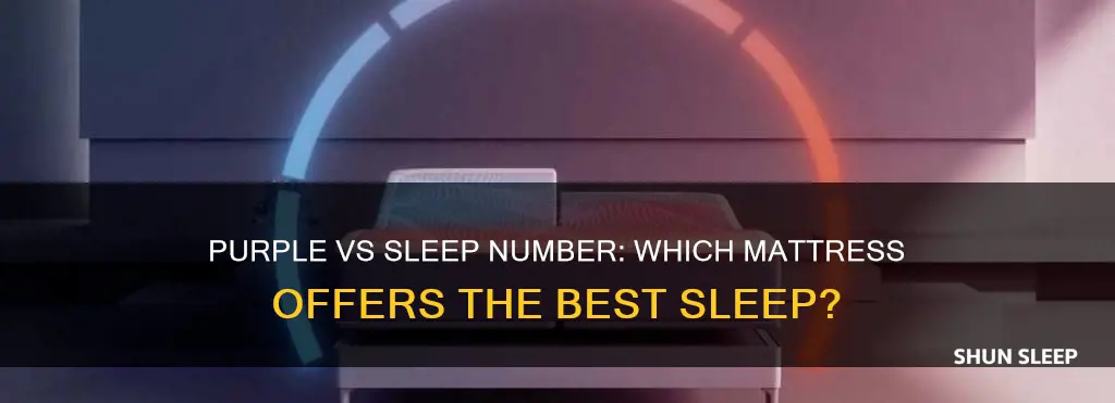 which is better purple or sleep number