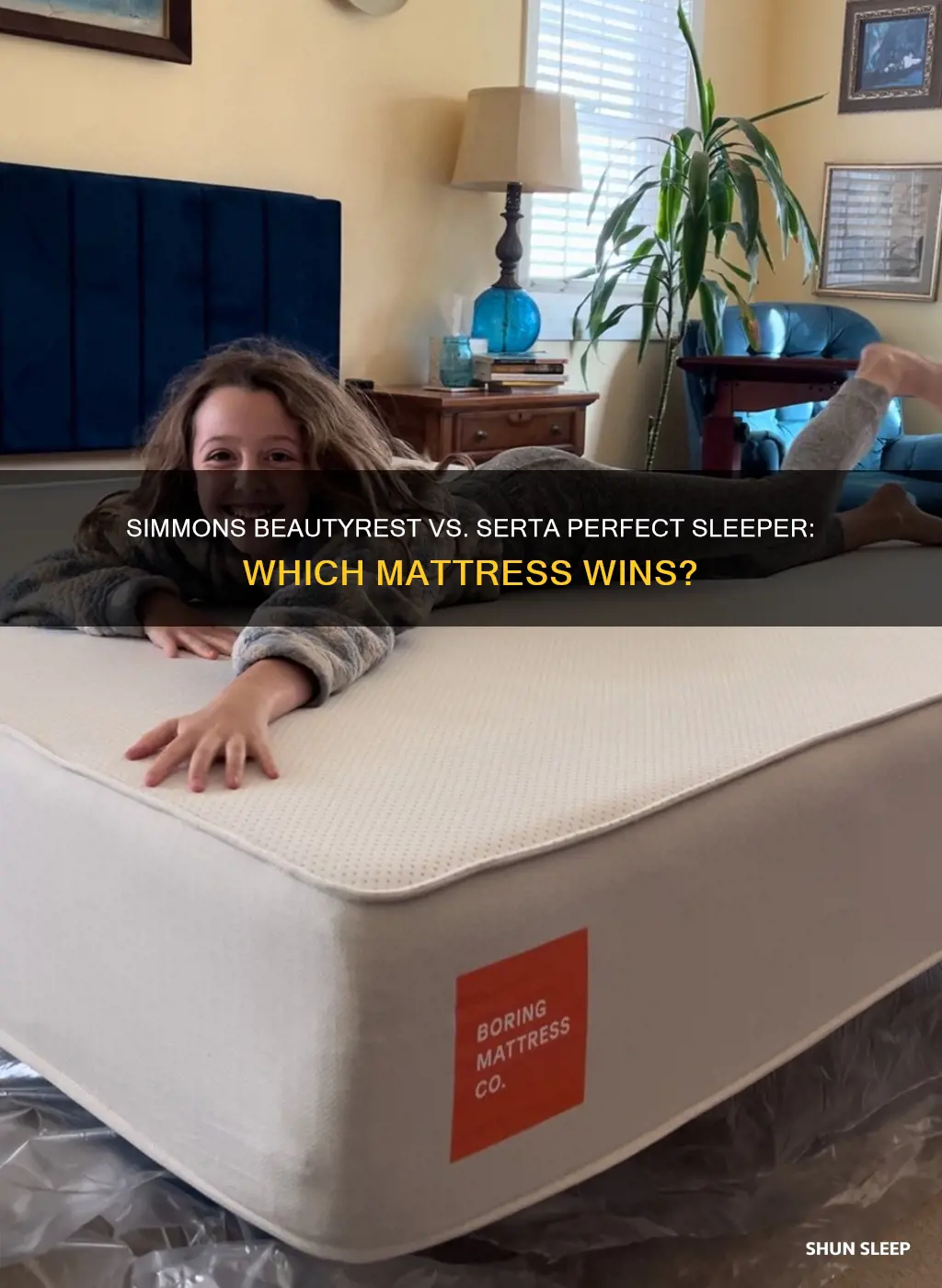 which is better simmons beautyrest or serta perfect sleeper