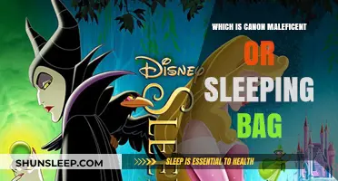 Maleficent vs Sleeping Beauty: Exploring Canon Differences
