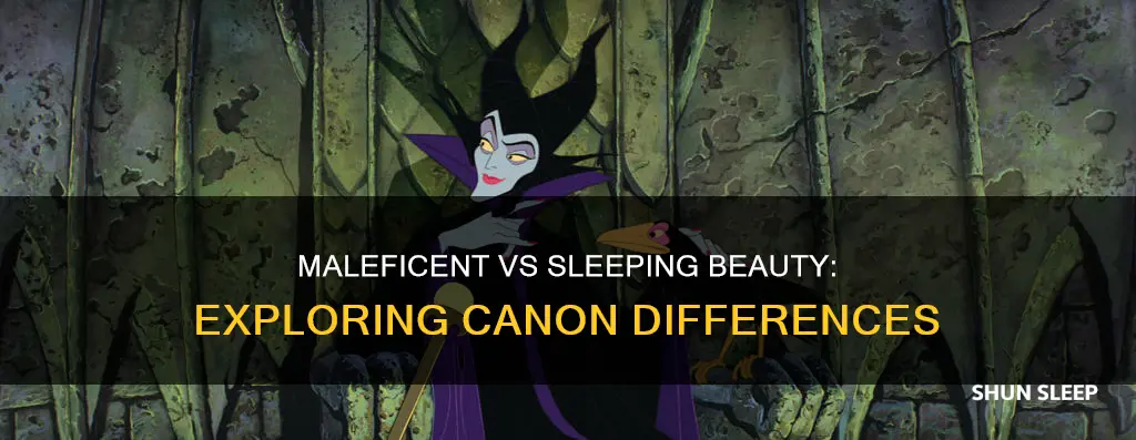 which is canon maleficent or sleeping bag