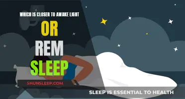 Light Sleep: Closer to Consciousness than REM Sleep