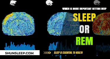 Deep Sleep vs. REM: Which Sleep Stage Boosts Health More?