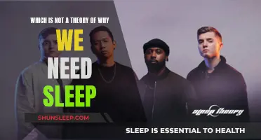 Sleep: A Biological Necessity, Not a Theory