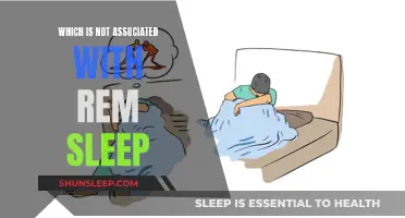 Dreamless Sleep: The Science of Non-REM Sleep States