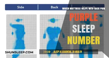 Purple vs. Sleep Number: Which Mattress Relieves Back Pain Best?