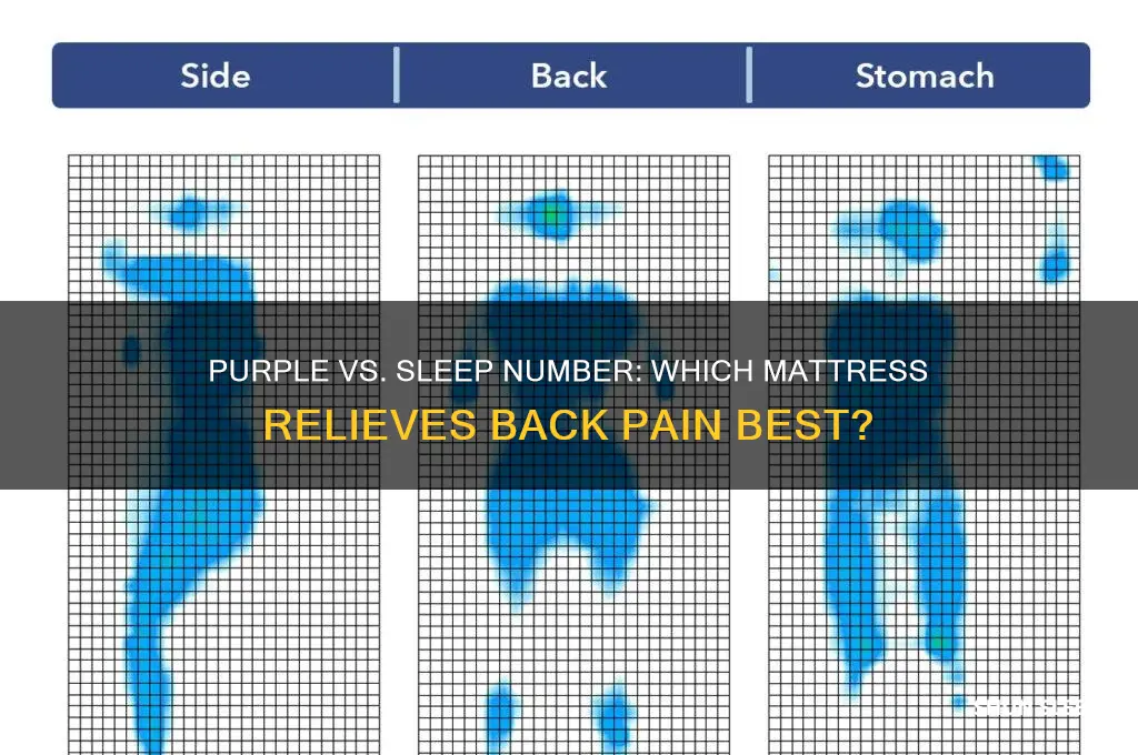 which mattress helps with back pain purple sleep number