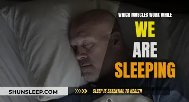 Muscle Activity While Asleep: Understanding Sleep and Body Connection