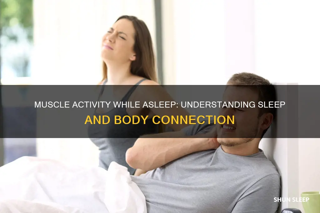 which muscles work while we are sleeping