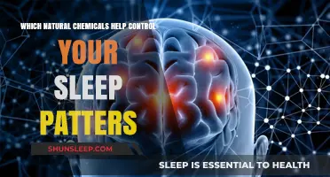 Natural Chemicals That Regulate Sleep Patterns for Better Rest