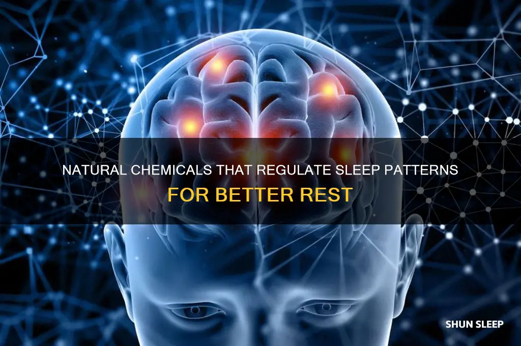 which natural chemicals help control your sleep patters