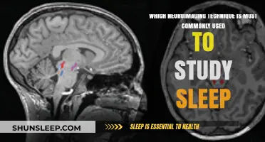 Exploring Sleep: The Preferred Neuroimaging Method