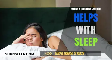 Unlocking Restful Nights: The Neurotransmitter Key to Better Sleep