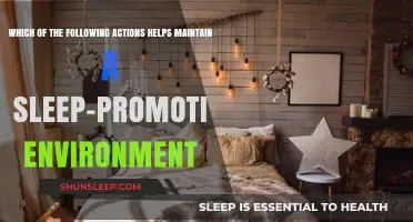 Create a Restful Haven: Tips for a Sleep-Promoting Environment