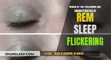 The REM Sleep Mystery: Flickering Eyes, Active Brains