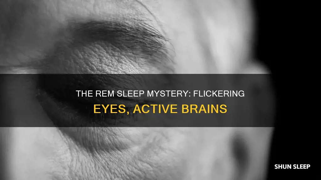 which of the following are characteristics of rem sleep flickering