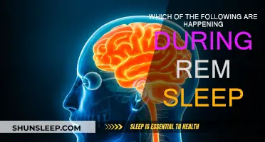 REM Sleep: What Happens During This Stage?