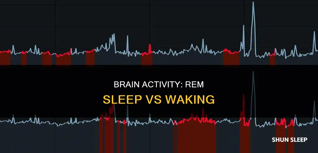 which of the following distinguishes rem sleep from waking