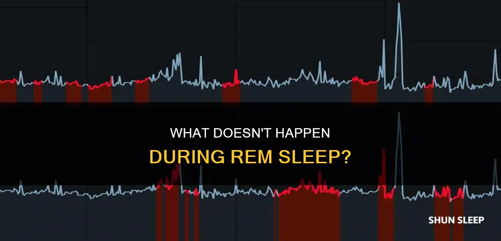 which of the following does not happen during rem sleep