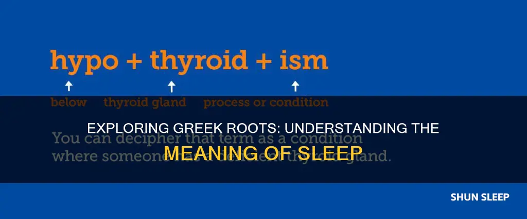 which of the following greek roots means sleep