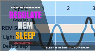 How Brain Chemicals and Hormones Regulate REM Sleep: A Guide