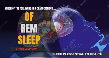 The Intriguing Nature of REM Sleep Characteristics