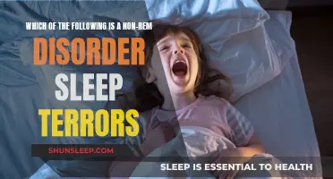 Sleep Terrors: Understanding Non-REM Sleep Disorders