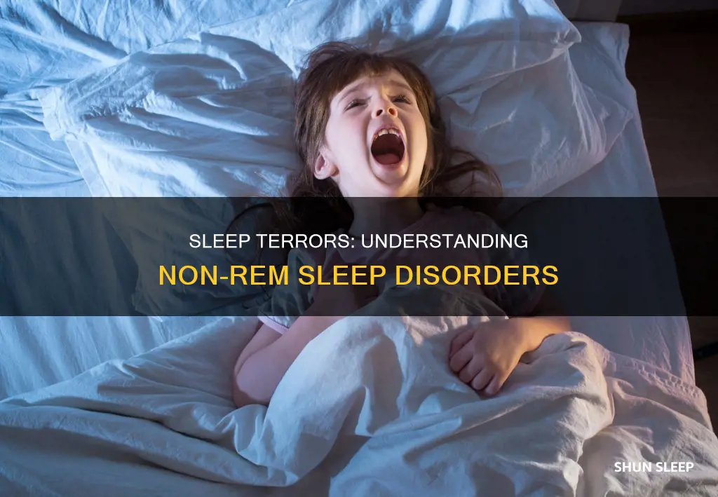 which of the following is a non-rem disorder sleep terrors