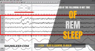 Myth-Busting REM Sleep: What's Fact and What's Fiction?