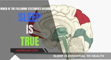 Unlocking REM Sleep: Facts and Intriguing Insights