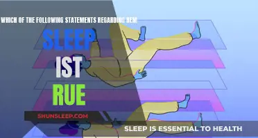 The Intriguing Truth About REM Sleep